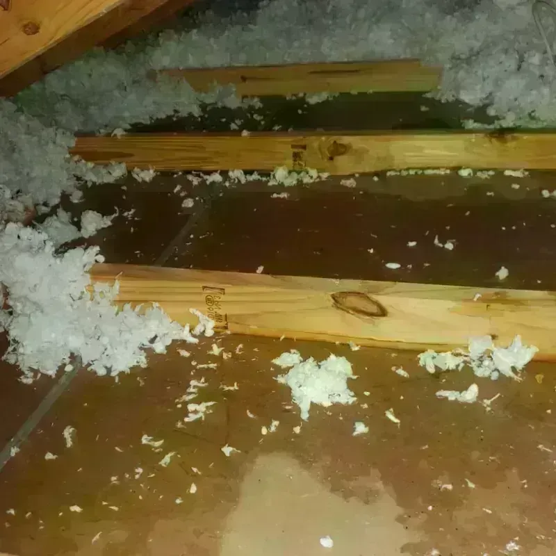 Attic Water Damage in Chesterfield, SC