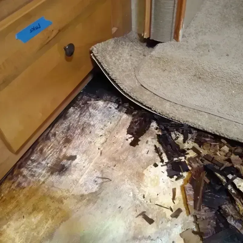 Wood Floor Water Damage in Chesterfield, SC